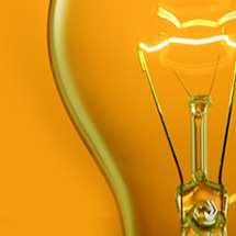 IP Litigation